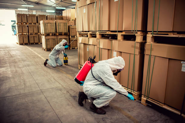 Best Wildlife Control Services  in Julian, CA