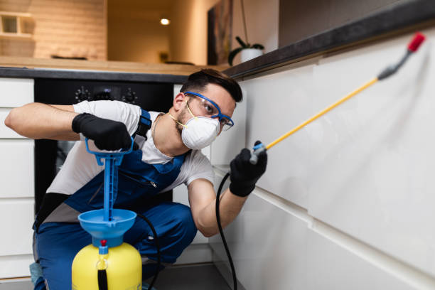 Best Pest Control Cost  in Julian, CA