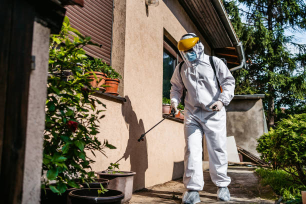 Best Mosquito Control Services  in Julian, CA