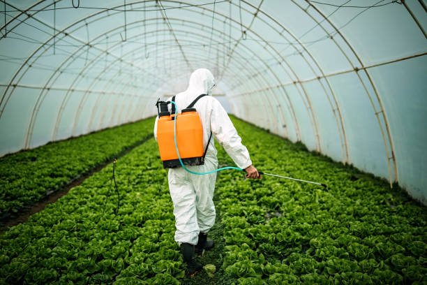 Pest Control Cost in Julian, CA
