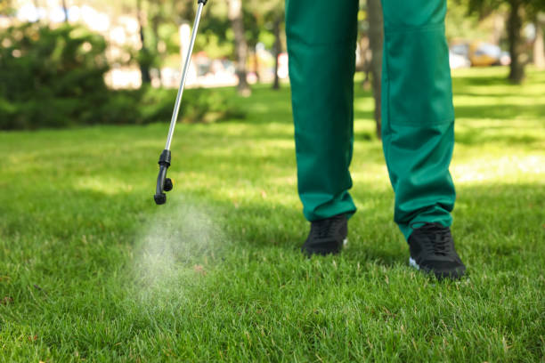 Best Pest Prevention Services  in Julian, CA