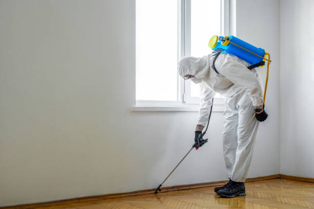 Best Best Pest Control Companies  in Julian, CA