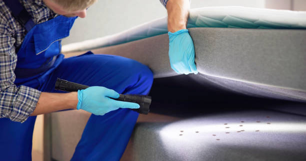 Pest Prevention Services in Julian, CA