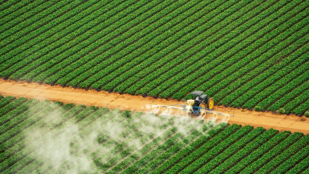 Best Pest Removal Services  in Julian, CA