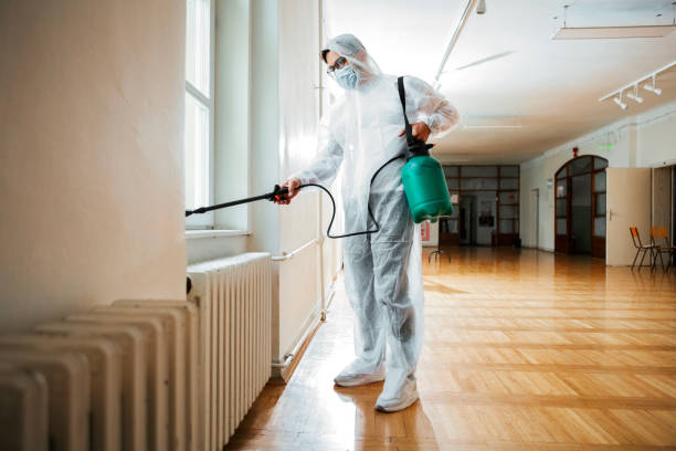 Best Ant Control Services  in Julian, CA