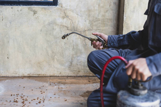 Best Termite Control Services  in Julian, CA